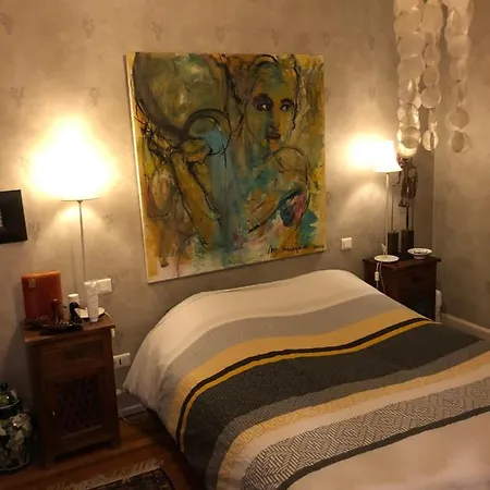 D'hote Dans Maison De Maitre Homestay Mulhouse